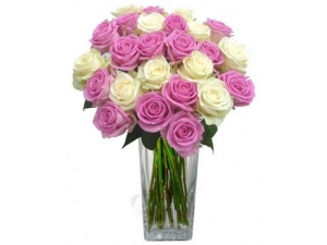 Strawberry Cream - 36 Stems Vase